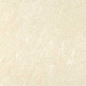 Kajaria Premium Tile 
