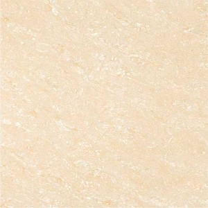 Kajaria Premium Tile 