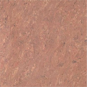 Kajaria Premium Tile 