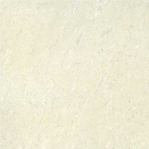 Kajaria Premium Tile 