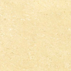 Kajaria Premium Tile 