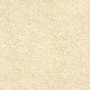 Kajaria Premium Tile 