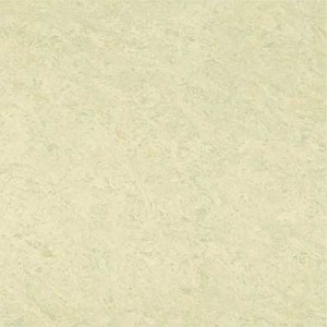 Kajaria Premium Tile 