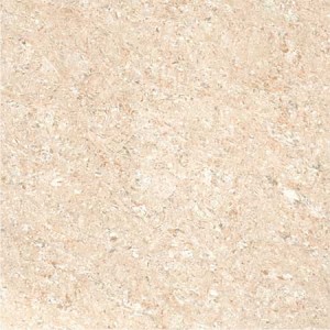 Kajaria Premium Tile 