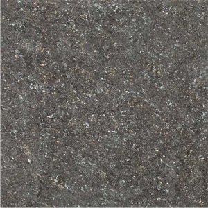 Kajaria Premium Tile 