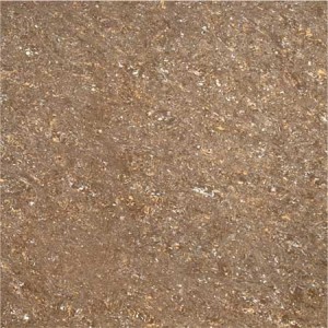 Kajaria Premium Tile 