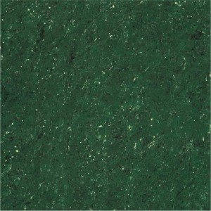 Kajaria Premium Tile 