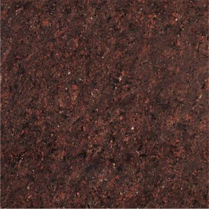 Kajaria Premium Tile 