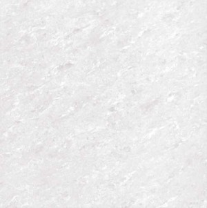 Kajaria Premium Tile 