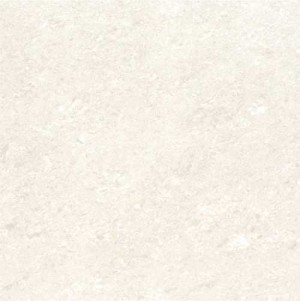 Kajaria Premium Tile 