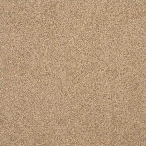 Kajaria Premium Tile 