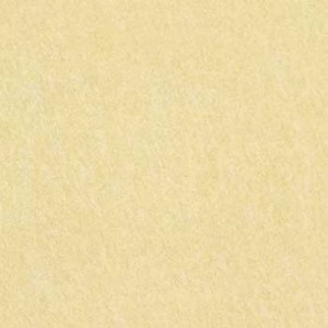 Kajaria Eternity Tile - Lappato Beige